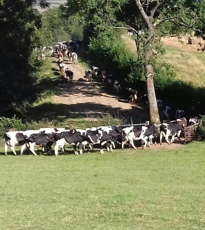 Hawley Farm
