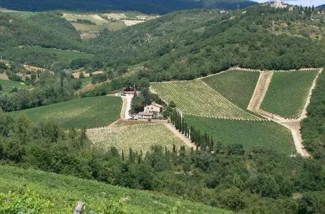 Le Miccine