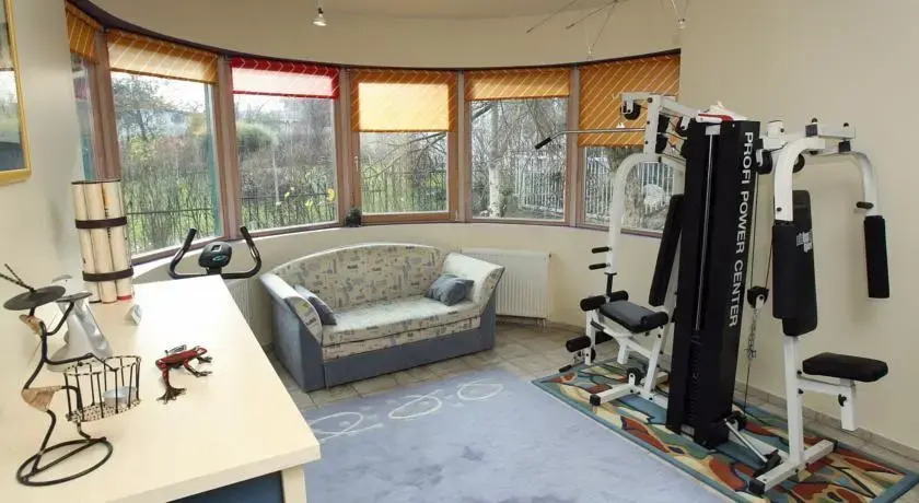Luxury 7 room villa