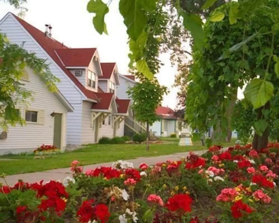 Fern Resort