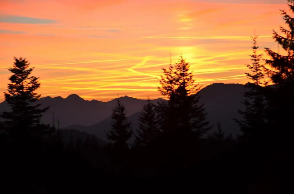 Winklmoos SonnenAlm