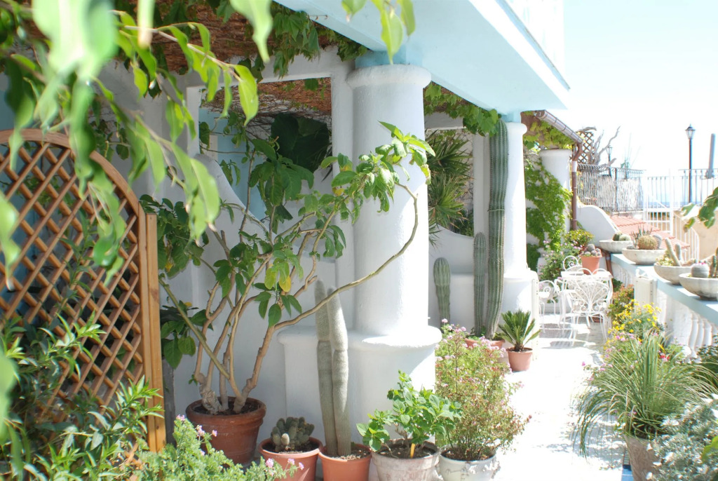 Hotel La Palma