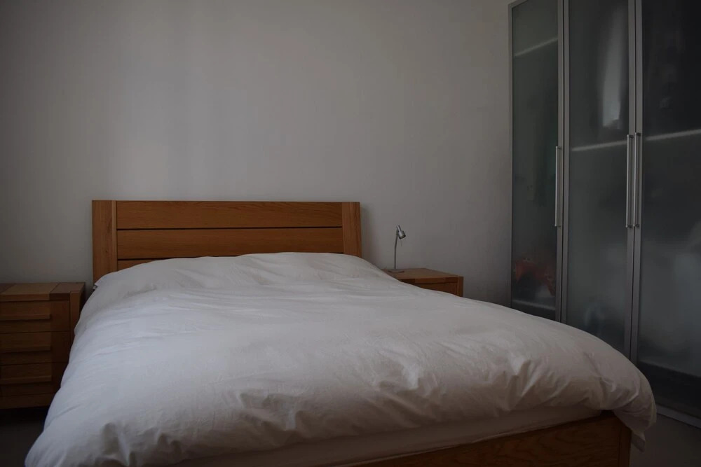 1 Bedroom Apartment in London Central Area