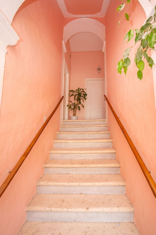 Apartment Bona Palace