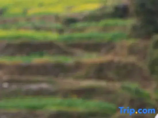 Yundu Meisu (Huangling Scenic Area Store)