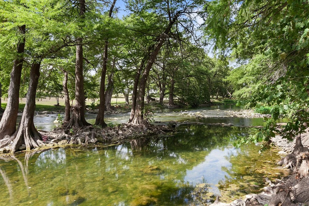 New!upscale-riverfront&pet-friendly-near Schlitter