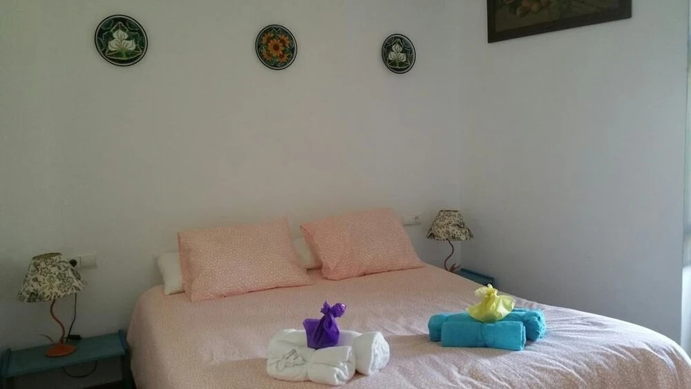 Deluxe Apartment Doña Elvira