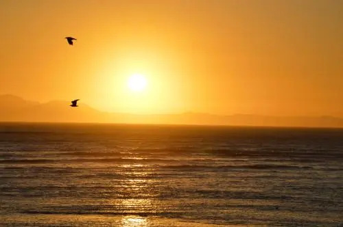 102 Ocean View