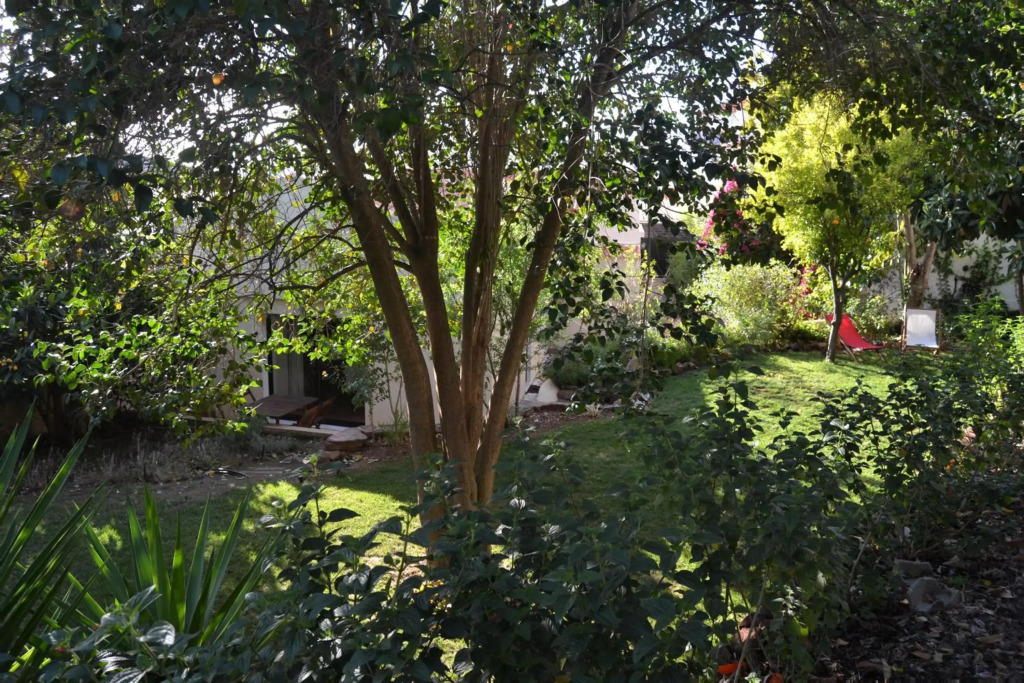 Garden in the City