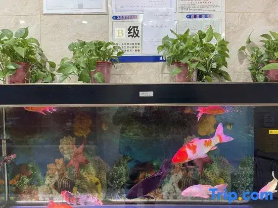 Urban Scenery Selection Hotel（Qingdao High tech Zone Aodong Road Store）