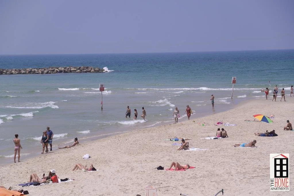 Domus TLV