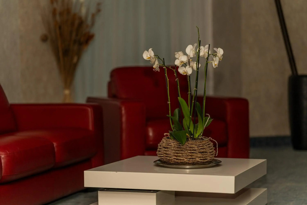 Hotel Alcor