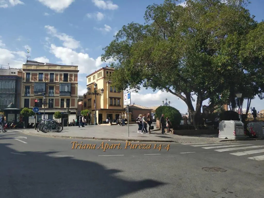 Triana Pureza 12-14