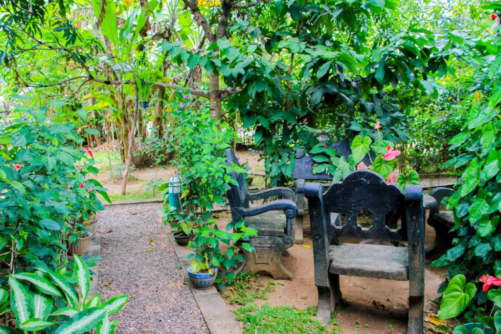 Galaxy View Homestay Sigiriya