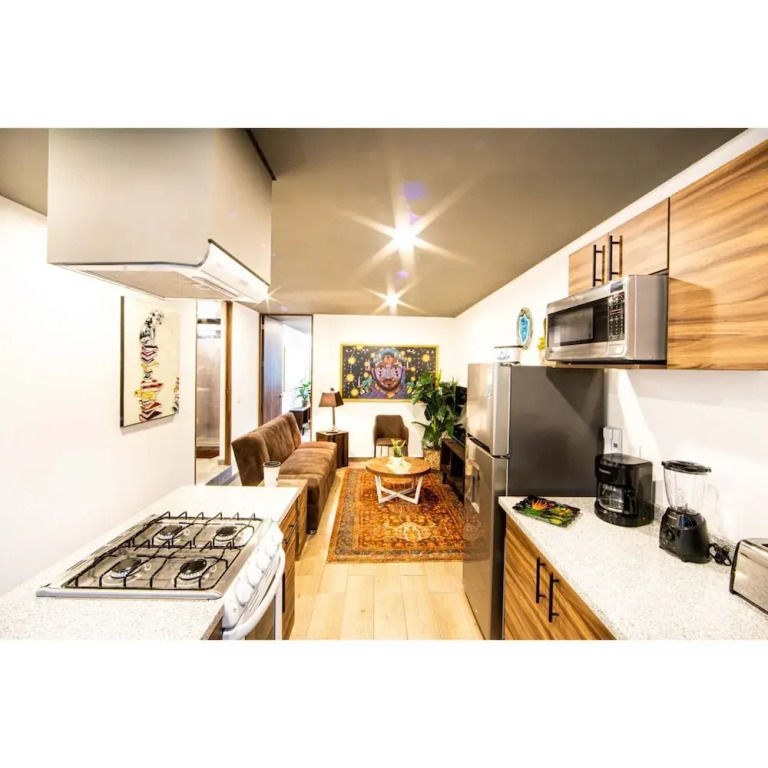 Brand New 1BDRM Private Patio Apartment 5 Stars