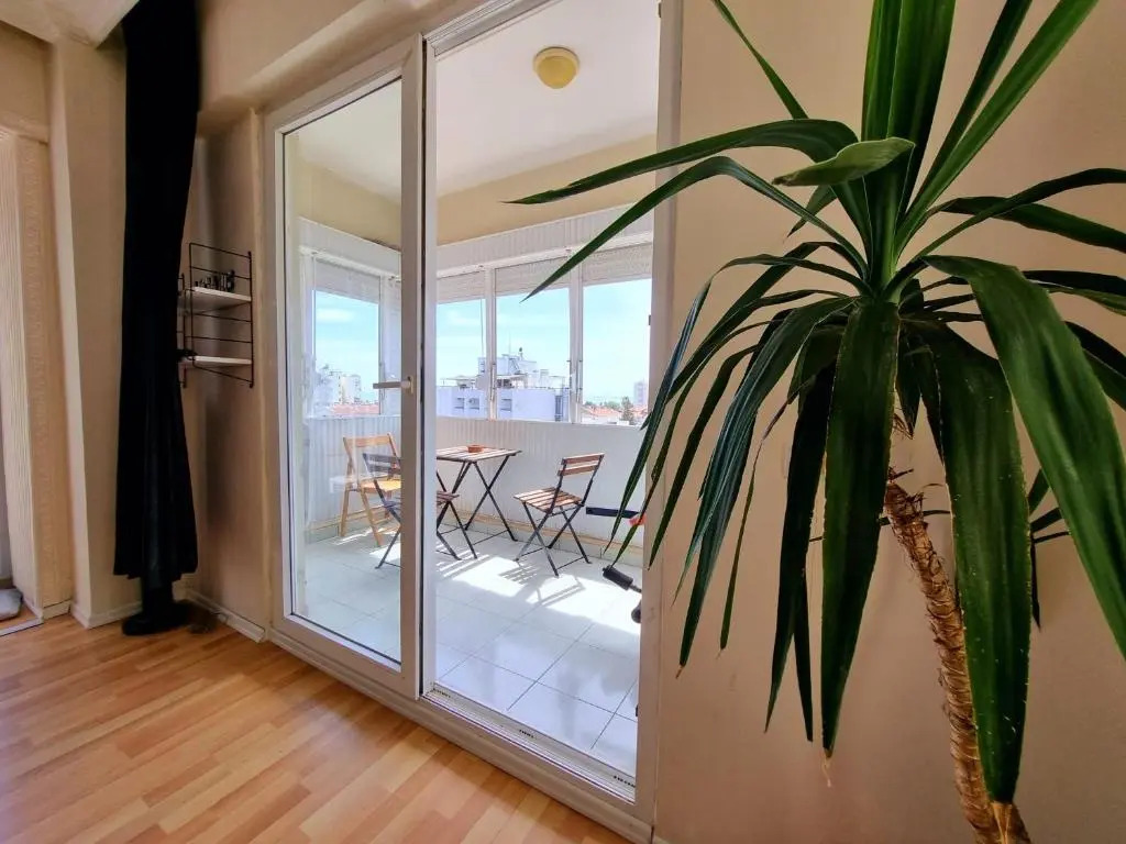 50 meters from the Lara Beach