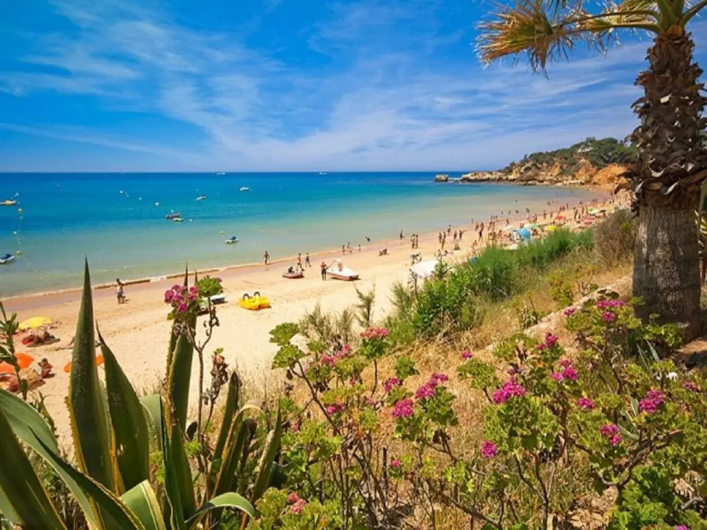 V4, Villa Jardins Branqueira2 near Beach, Albufeira
