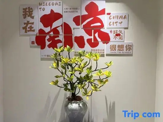 Qinhuai Qimu Homestay