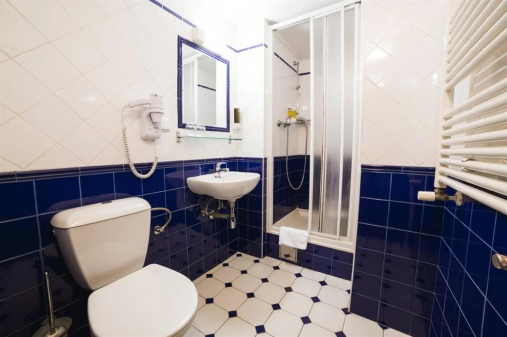 Hotel Dalimil