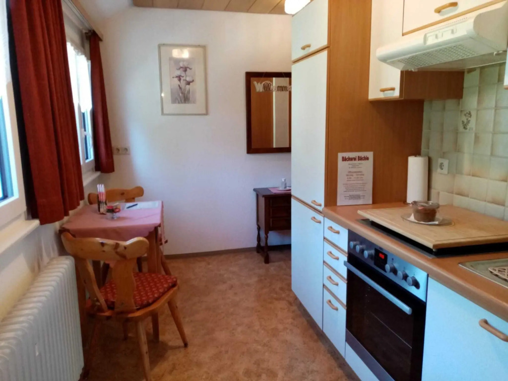 Flat in St. Blasien With Balcony