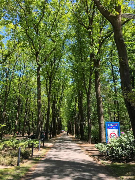 Vakantiehuisje Specht