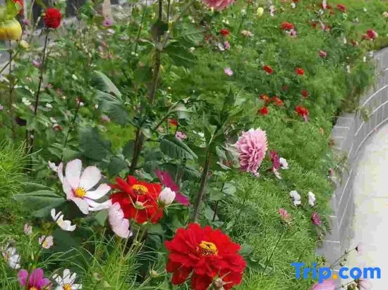 Yunmo Art Hotel