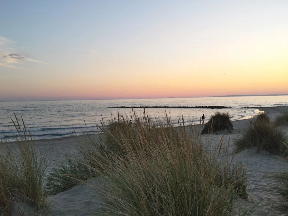 Camping Abri de Camargue