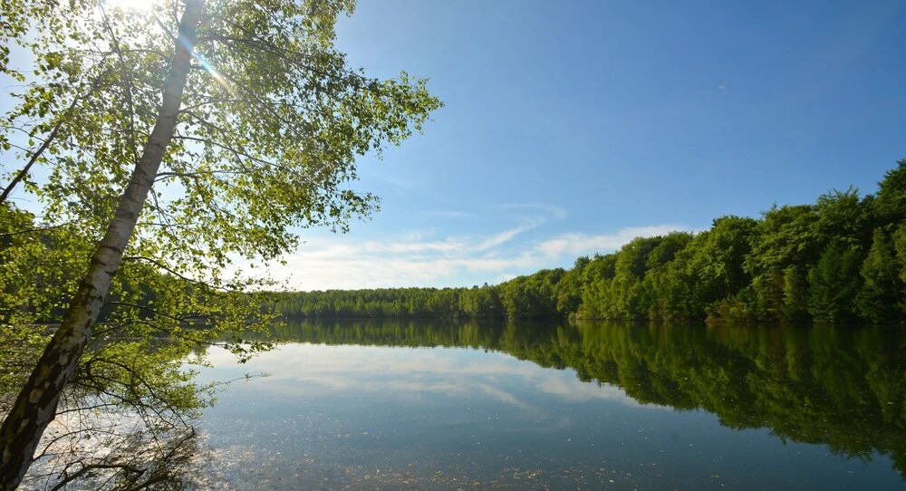 Treeloft Adventure in Nature for 4 People 1