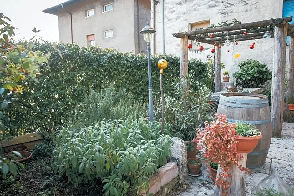 B&B Pedelmont