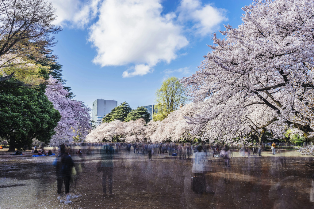 Kimpton Shinjuku Tokyo by IHG