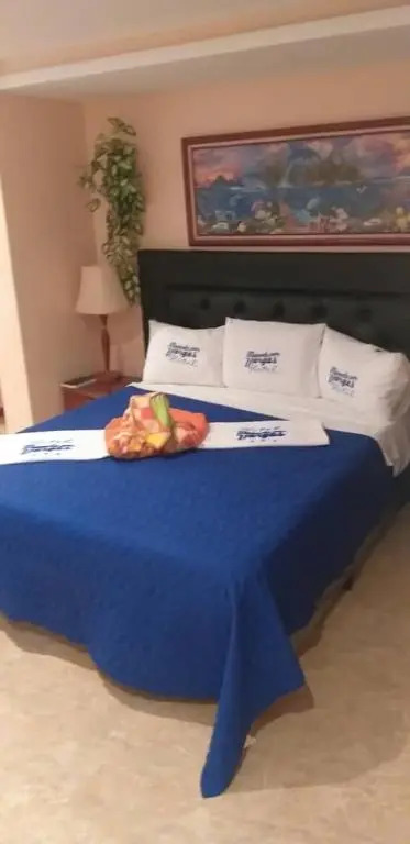 HOTEL MUEVETE POR VARGAS