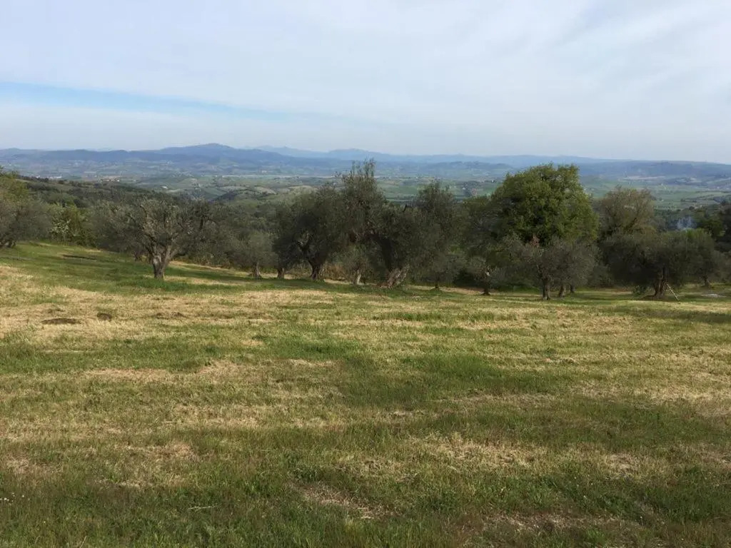 B&B Giuncaia17