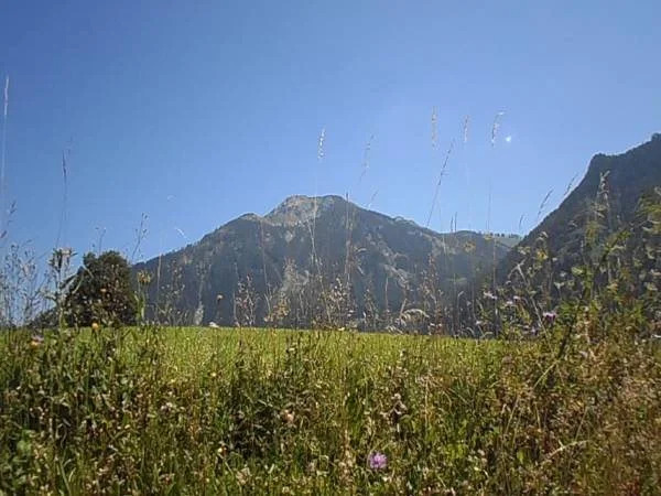 Reithartlhof