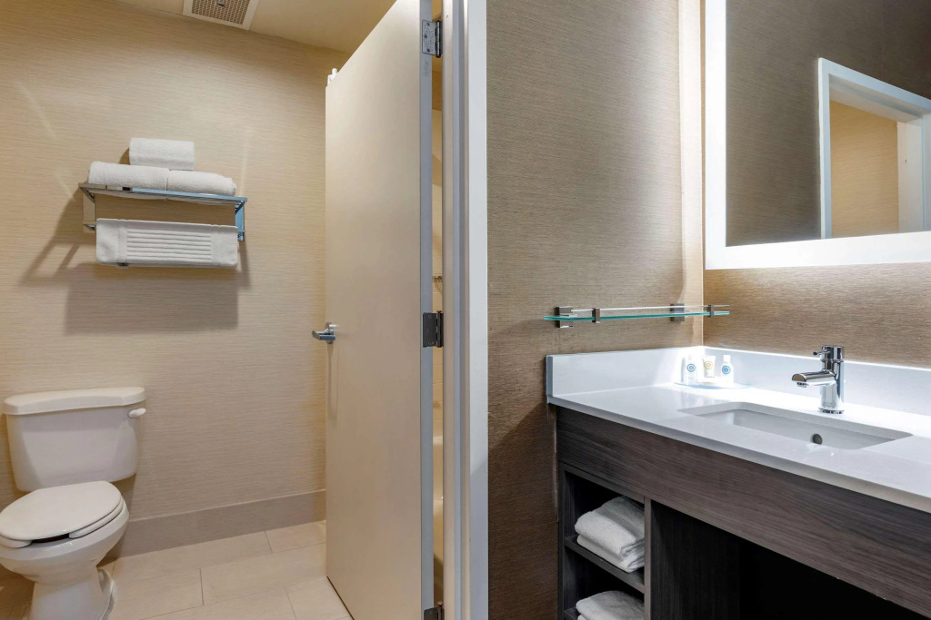 Comfort Inn & Suites North Dallas-Addison