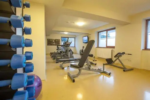 Aducco Hohe Rinne Paltinis Hotel & Spa
