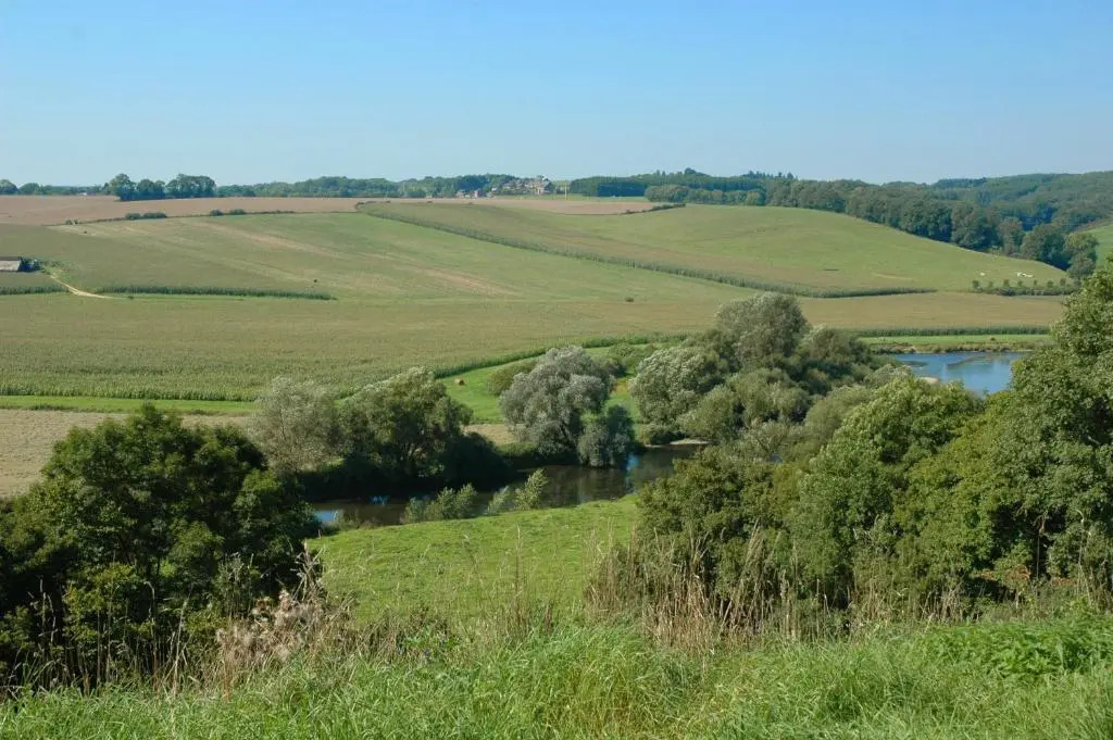 Cote Vue