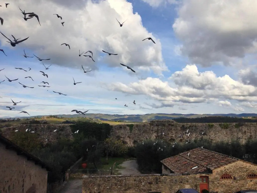 Camere Dentro Il Castello