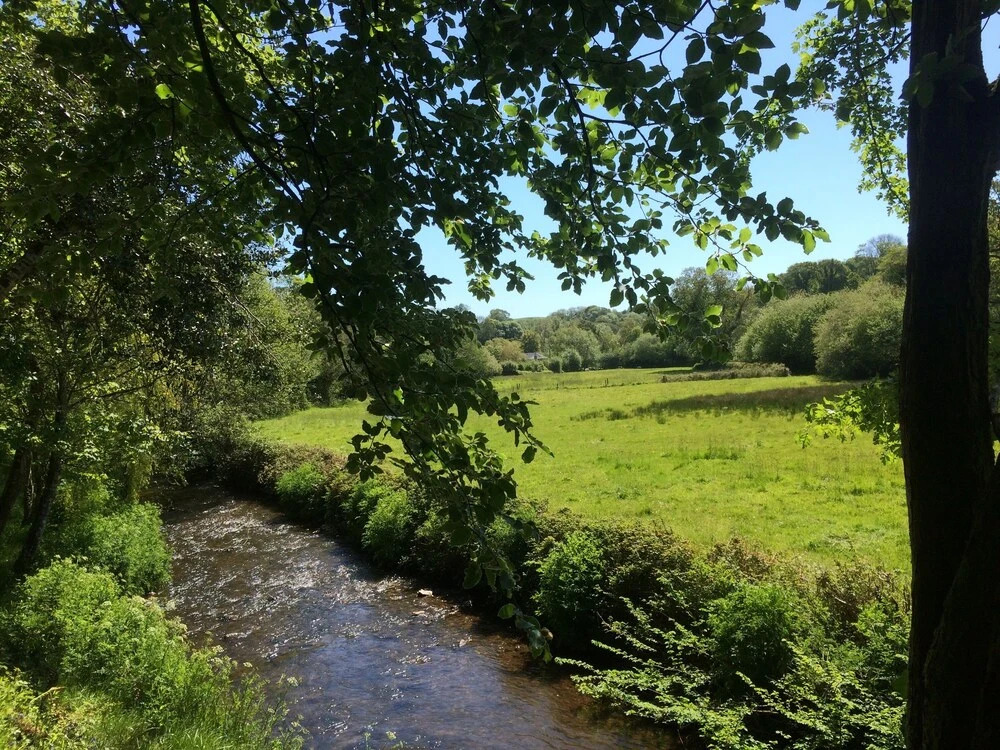 Bow Mill Farm