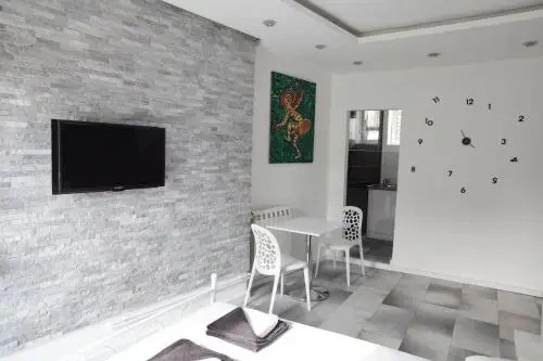 Downtown Belgrade Apartments