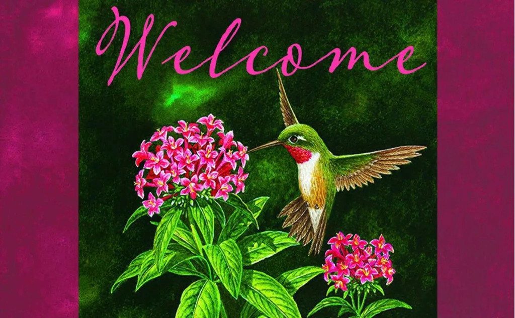 Hummingbird Retreat - Luxury Oceanview Apt, 7-Minute Walk to Beach