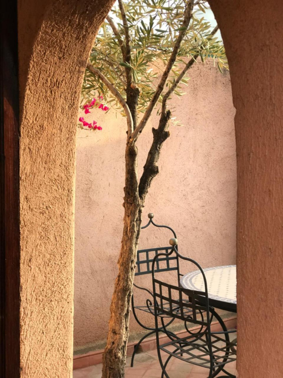 Riad Zahir