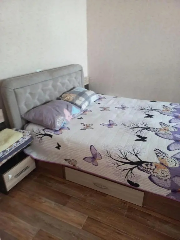 Apartment in Downtown Jambyla 150