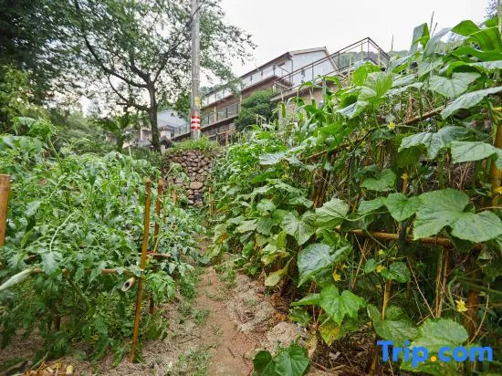Moganshan Qingquan Inn (Yucun Scenic Area Branch)