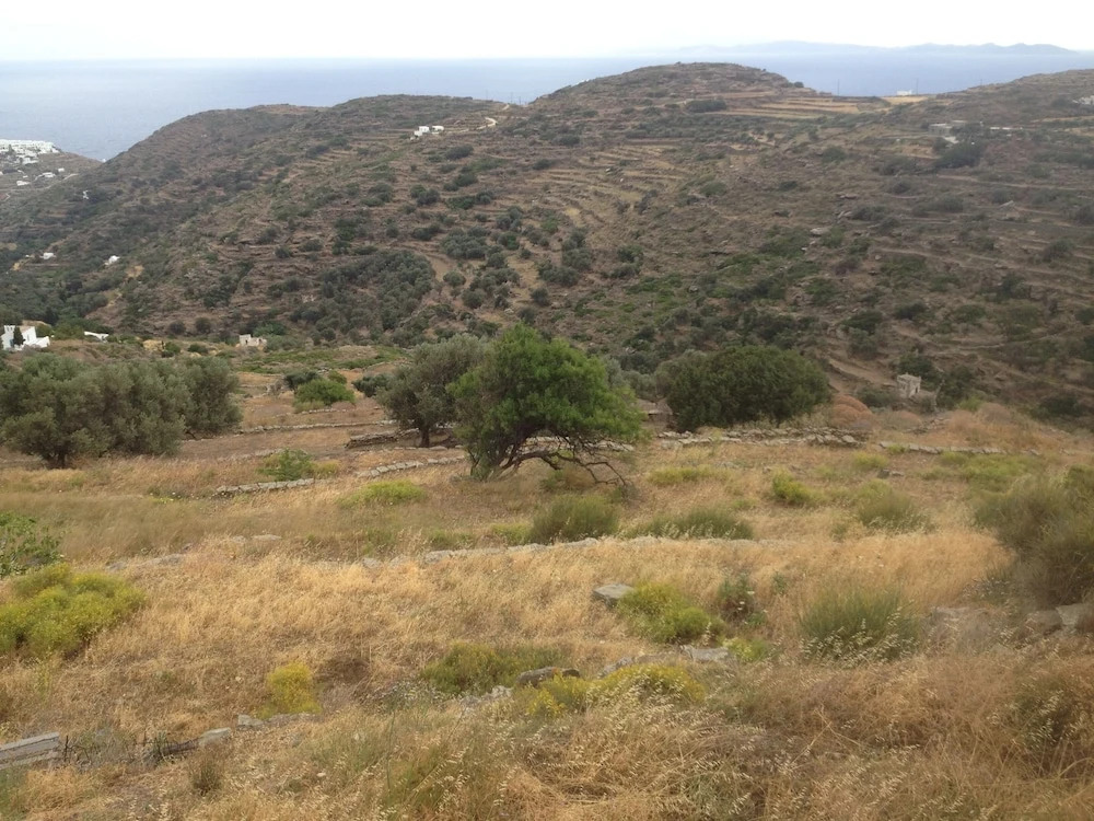 Aegean Boutique Suites