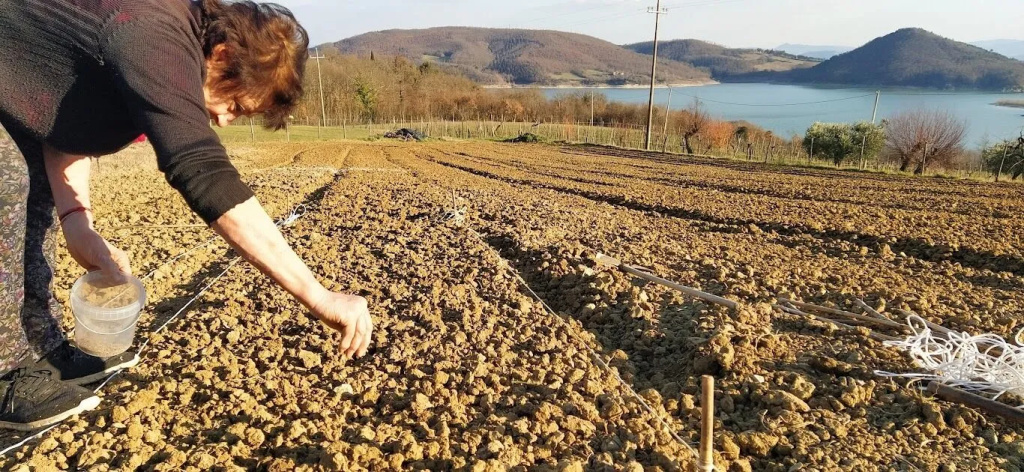 Agriturismo Le Ceregne Bio