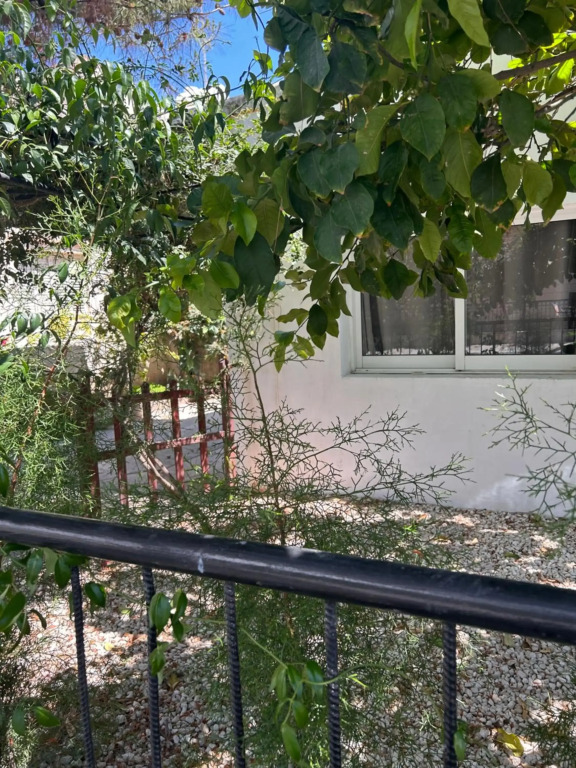 Lovely two bedroom little house