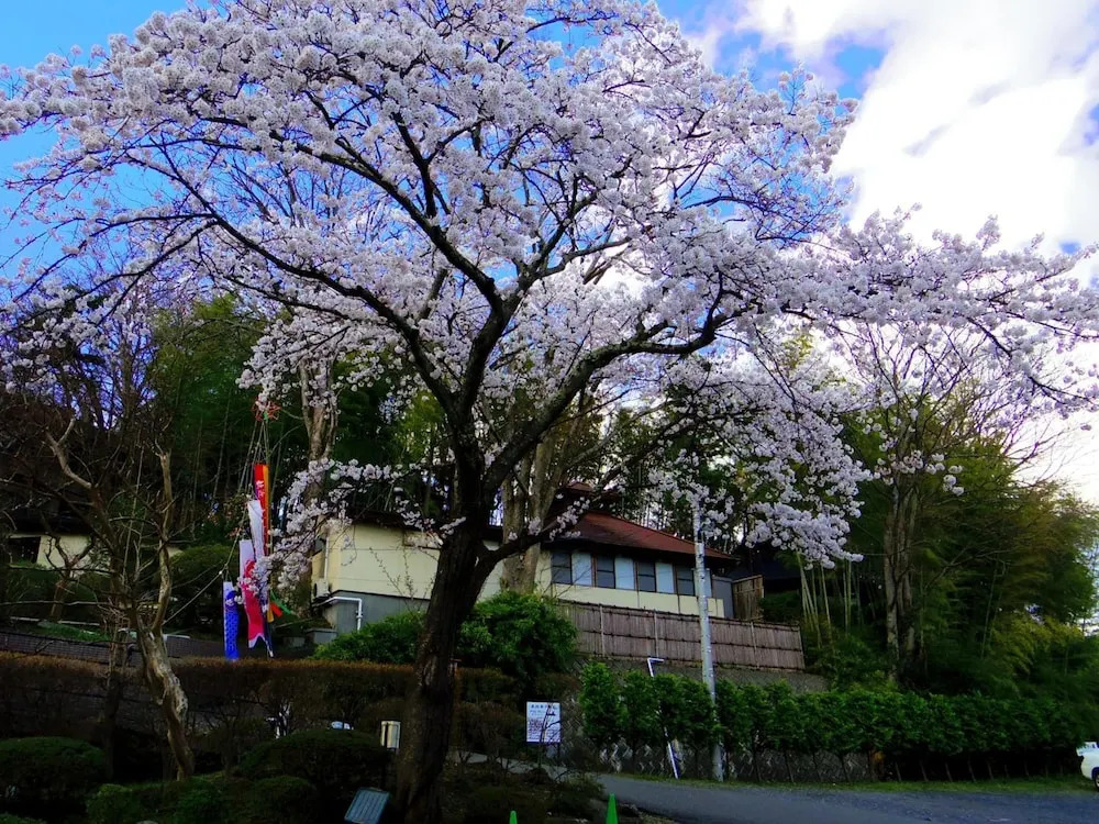 Hiraizumi Hotel Musashibou