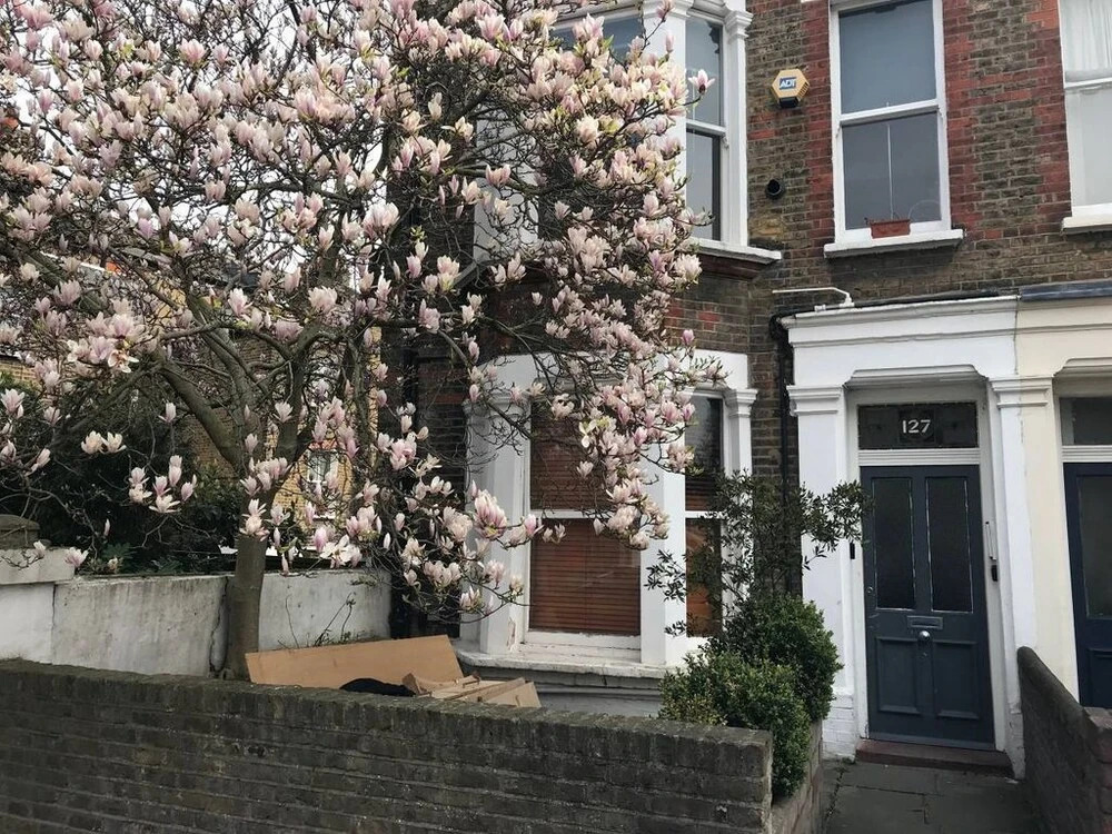 Apartment With Garden Maida Hill