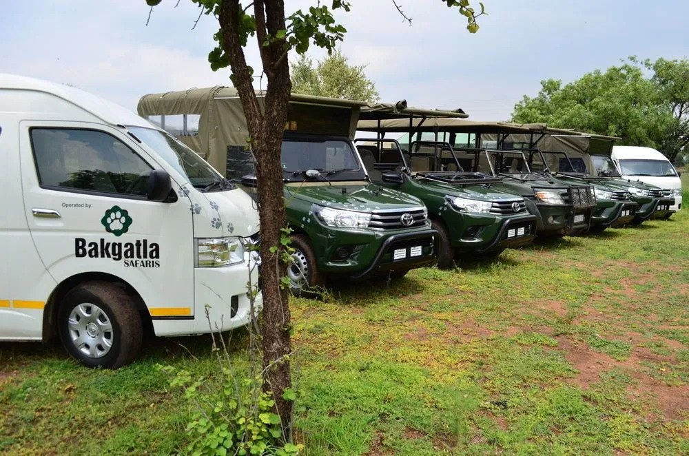 Tented Adventures Pilanesberg