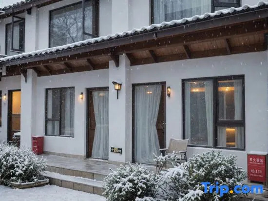 Qipan Cloud Residence Designer View Homestay